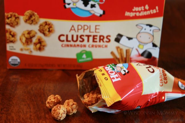 Fun and Easy Road Trip Snacks