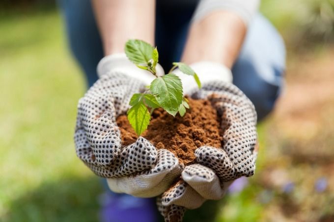 must have garden tools