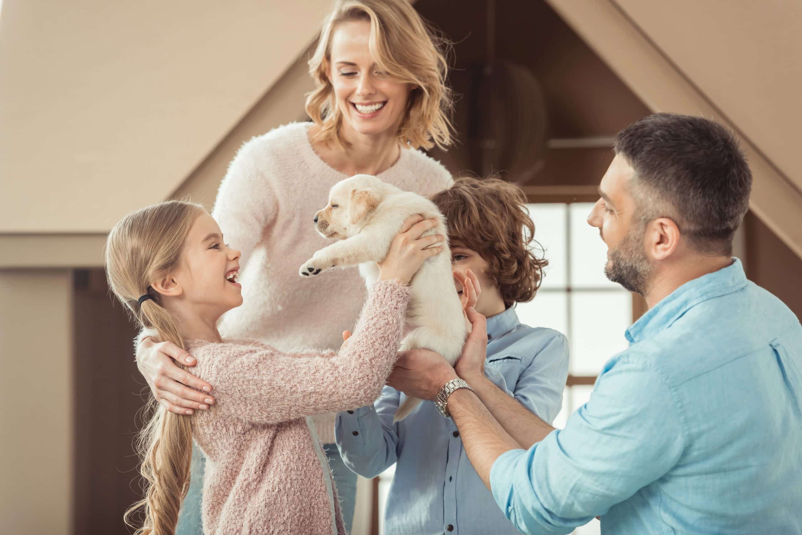 What to Expect When Bringing Home a New Puppy